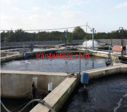 استخر پرورش ماهیِ سردابی فروشی و معاوضه در ساری1