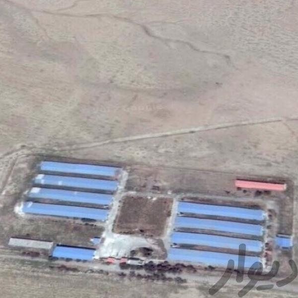 فروش مرغداری ١٨٠ هزار قطعه،پولت فول امکانات در هشتگرد1