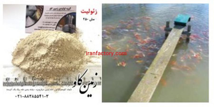 زئولیت و تاثیرات آن در استخر پرورش ماهی(Zeolite)0