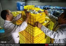 فروش کارخانه لبنیات در ساری-فروش کارخانه غذایی در ساری1