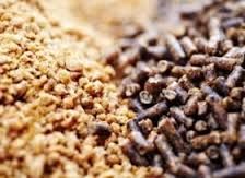 فروش کارخانه خوراک دام و طیور در بهشهر -فروش کارخانه تولید خوراک دام و طیور در شمال کشور -فروش ماشین آلات خوراک دام و طیور 0