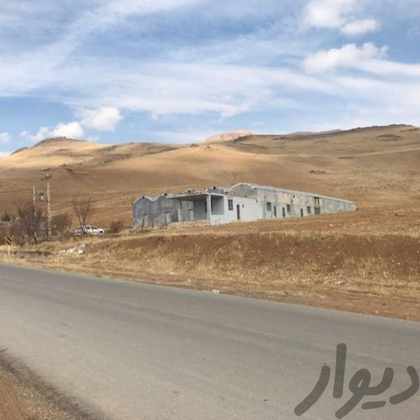 فروش کارگاه تولید قارچ اماده به کار در یاسوج0