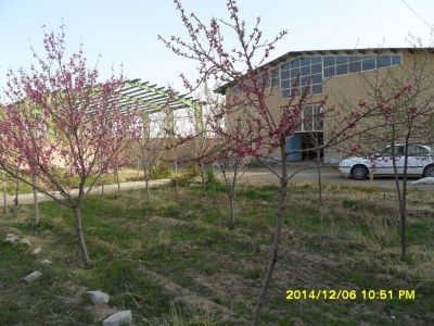 فروش کارخانه در شهرک صنعتی خیام نیشابور-فروش کارخانه غذایی در نیشابور 2