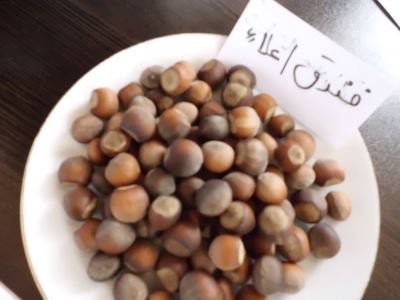 فروش چای و برنج ایرانی(صادراتی و داخلی)4