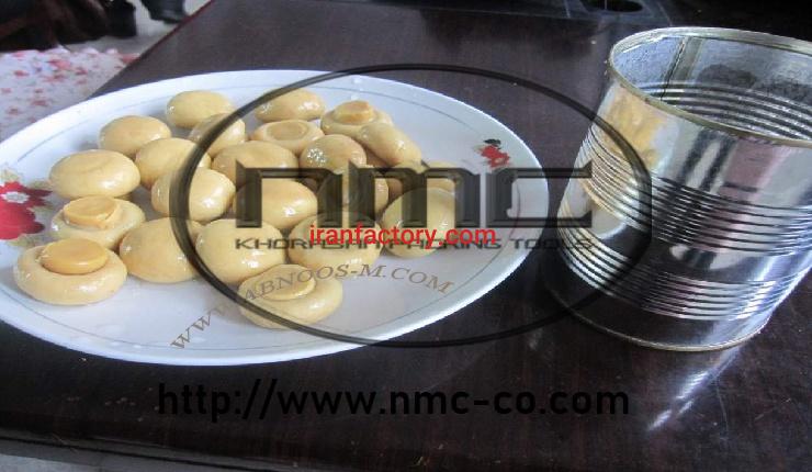 ماشین آلات خط تولید و بسته بندی کنسرو قارچ1