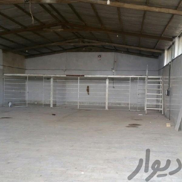 فروش زمین 600متری با سوله در منظریه1