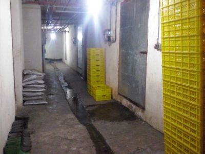 فروش استثنایی ملک صنعتی چند منظوره-فروش کارخانه تولید قارچ در سنندج 5