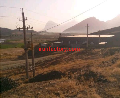 فروش 9911 متر کارخانه قارچ در کرمانشاه4