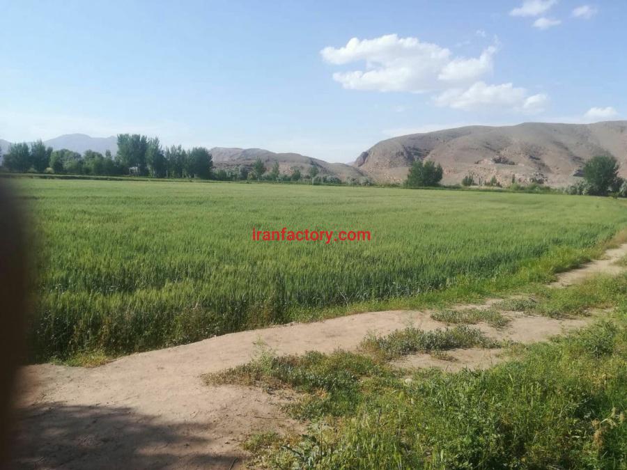 زمین زراعی و باغی 4/4 هکتار در شهرستان خوی9