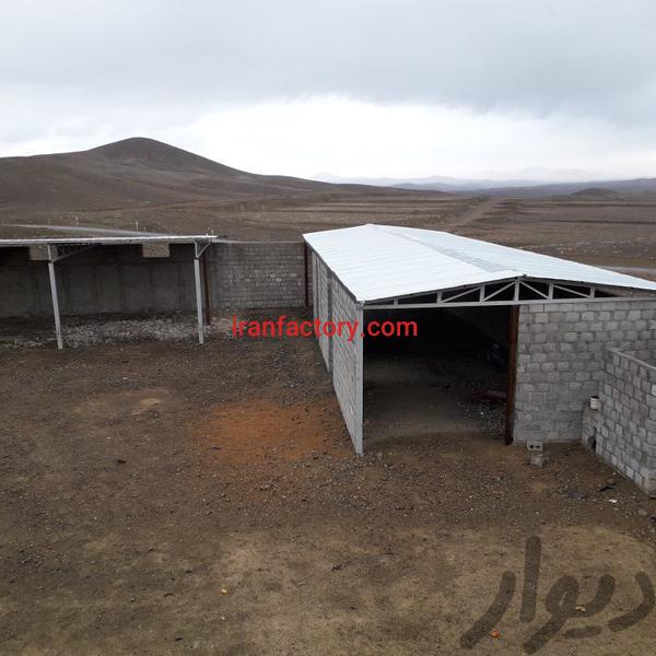 اجاره گاوداری در باغبهادران0