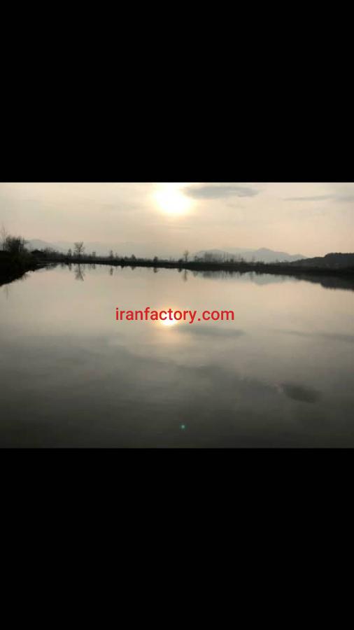 فروش پرورش ماهی در فومن3