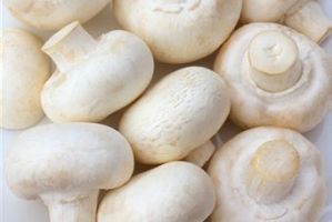 فروش و شراکت کارخانه قارچ در قزوین - در فروش سهام کارخانه صنعتی پرورش قارچ فعال جهت تکمیل توسعه0