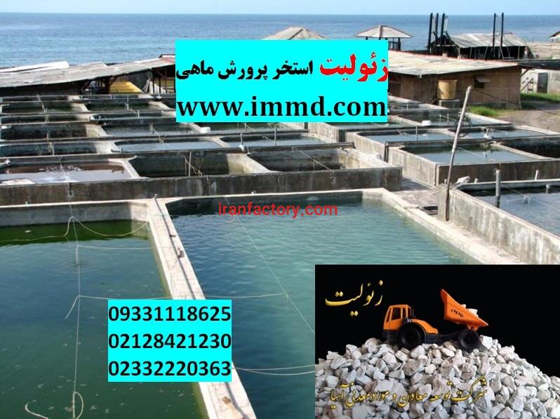 زئولیت کلینوپتیولیت در استخر پرورش ماهی0