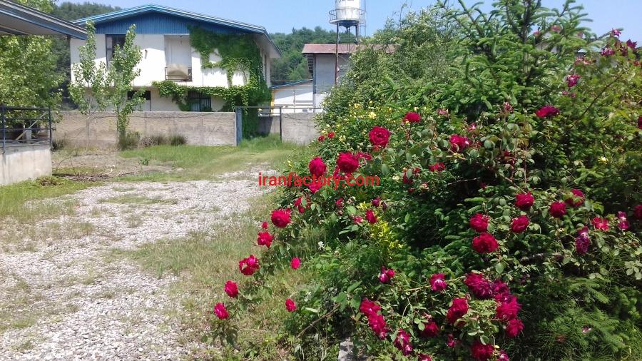 فروش کارخانه مواد غذایی در شیرگاه3