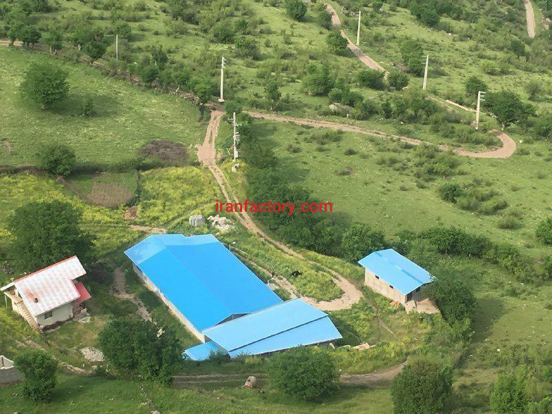 فروش دامداری در مرزن آباد بهترین فرصت سرمایه گذاری0