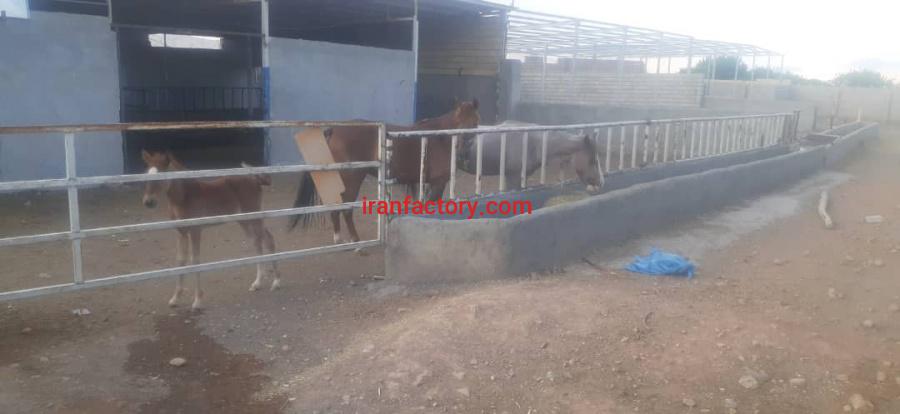 فروش دامداری تیران و کرون اصفهان4