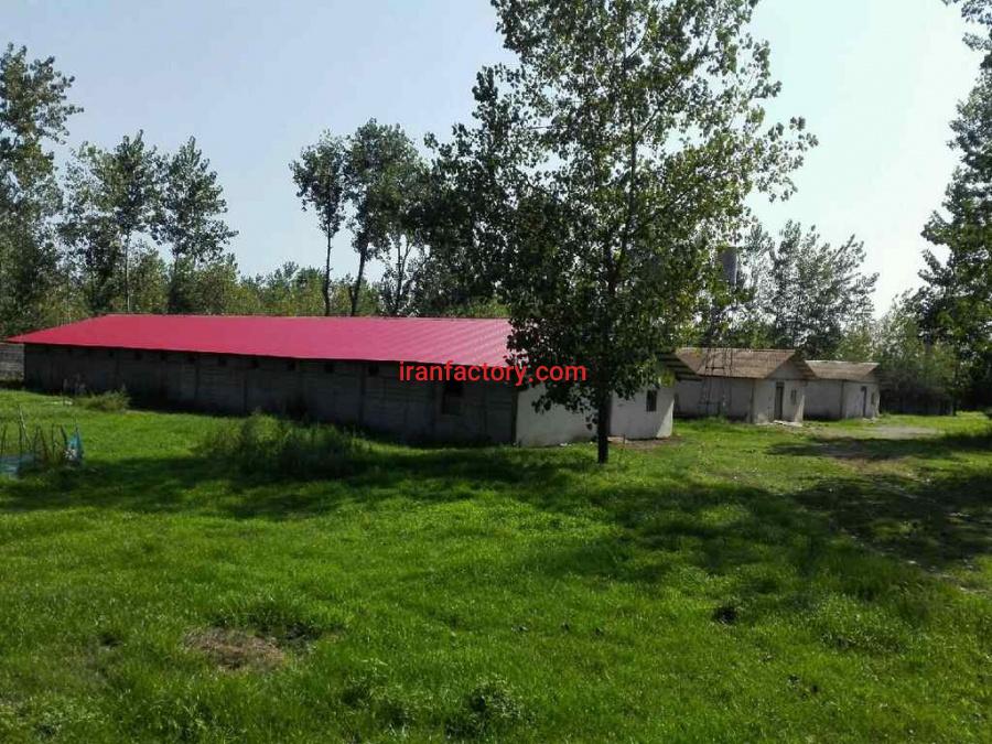 فروش مرغداری گوشتی 15000قطعه ای در شمال(گیلان- لنگرود – چمخاله )1