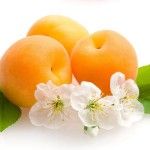 مشاور صنایع غذایی و بسته بندی 2