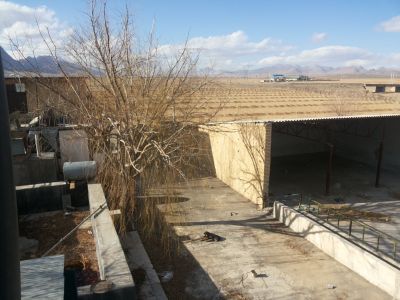 فروش دامداری و گاوداری شیری و گوشتی اصفهان -چادگان 5