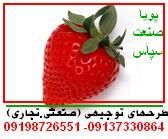 صنایع غذایی و بسته بندی دراستان کرمان 8