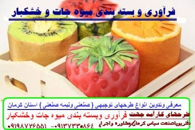 صنایع غذایی و بسته بندی دراستان کرمان 14