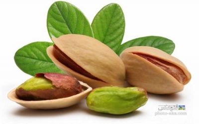 صنایع غذایی و بسته بندی دراستان کرمان 2