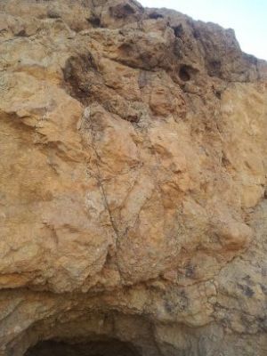 فروش معدن سرب و روی در دامغان - خرید معدن سرب و روی در دام0