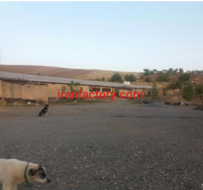 فروش 30000 متر مرغداری در کرمانشاه6