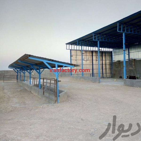 فروش گاوداری در اصفهان6