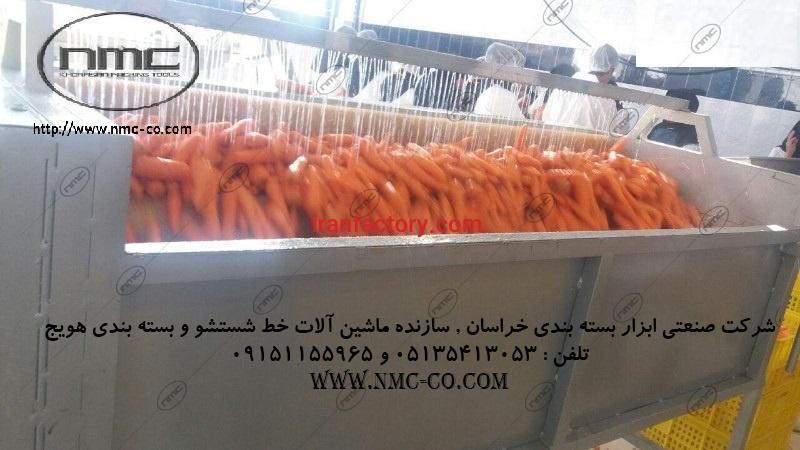 ماشین آلات خط اتومات بسته بندی سبزیجات سالاد فصل با دریافت حدود 300 کیلو در ساعت3