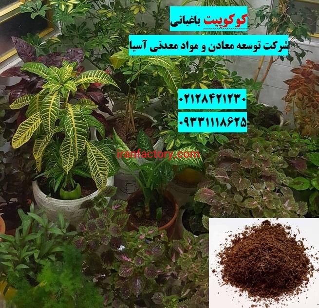 فروش کوکوپیت0