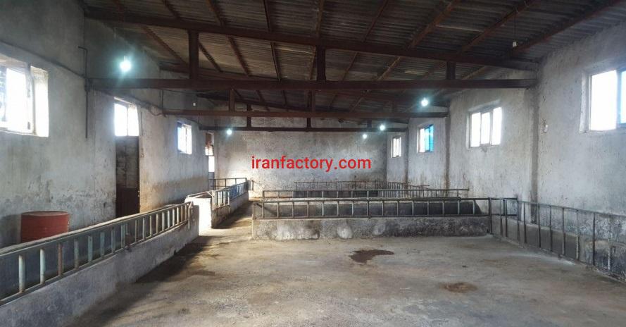 فروش گاوداری با قابلیت تبدیل به کارخانه در مراغه4