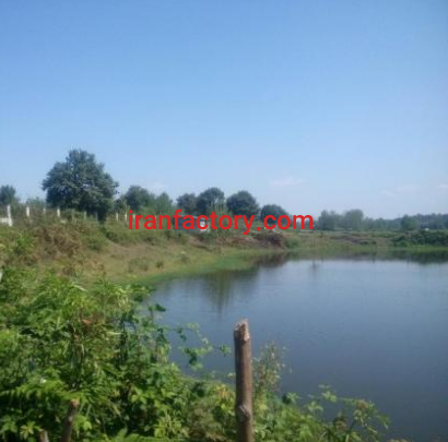 فروش یک هکتار استخر پرورش ماهی در لاهیجان0