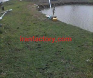 معاوضه یا فروش استخر پرورش ماهی به متراژ 45000 متر در رشت0