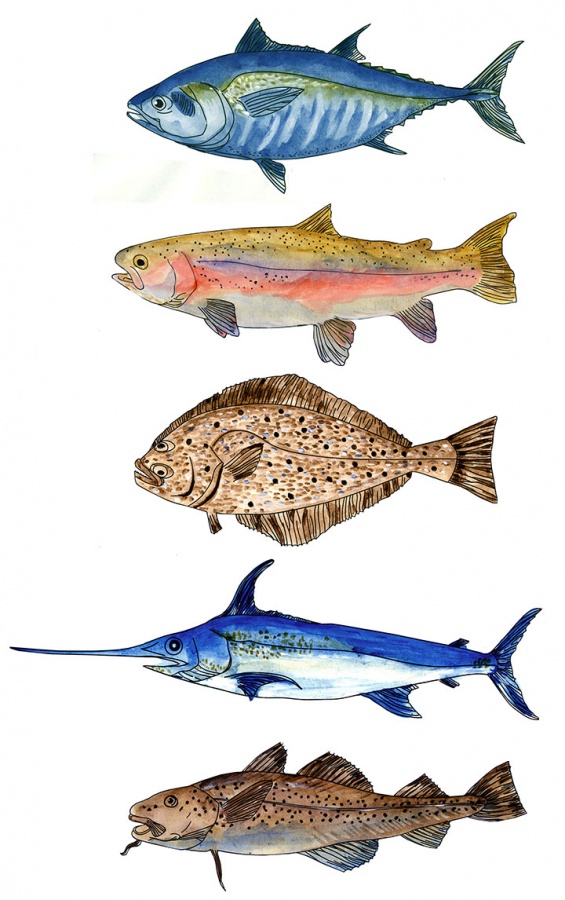 فروش خرچنگ صید روز0