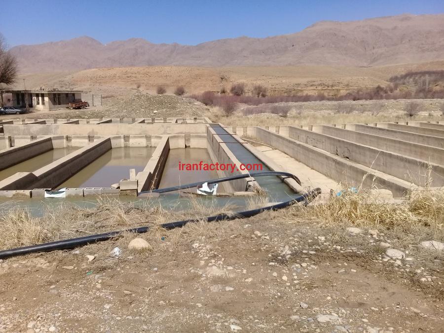 فروش پرورش ماهی در سمیرم1