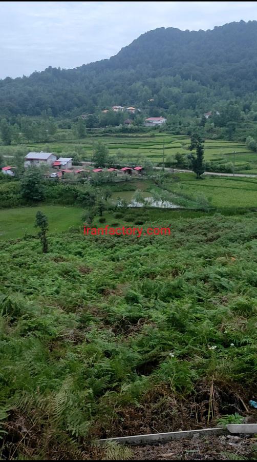 زمین مسکونی در سقالکسار رشت0