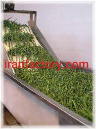 خط تولید بسته بندی سبزی خشک صنعت سازان نام آور کرج0