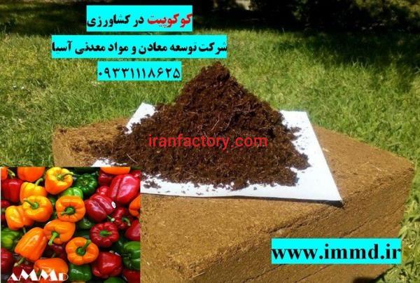 شرکت توسعه معادن و مواد معدنی آسیا3