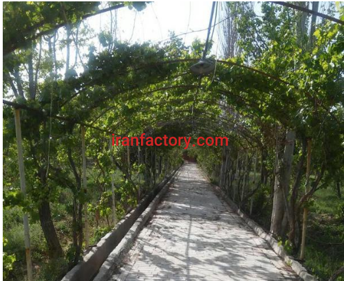 فروش کارخانه به مساحت 2 هکتار در مشهد3