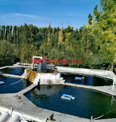 فروش پرورش ماهی در تبریز1