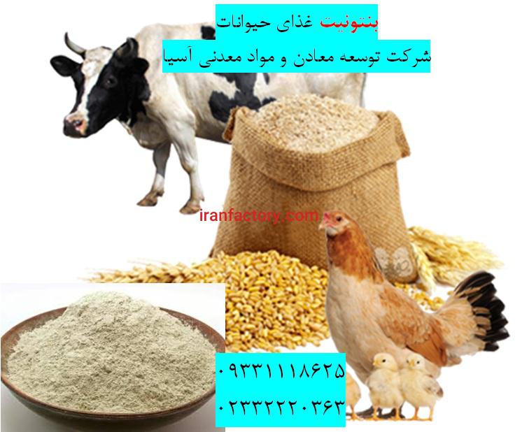 فروش بنتونیت کلسیمی در تهیه خوراک دام و طیور0