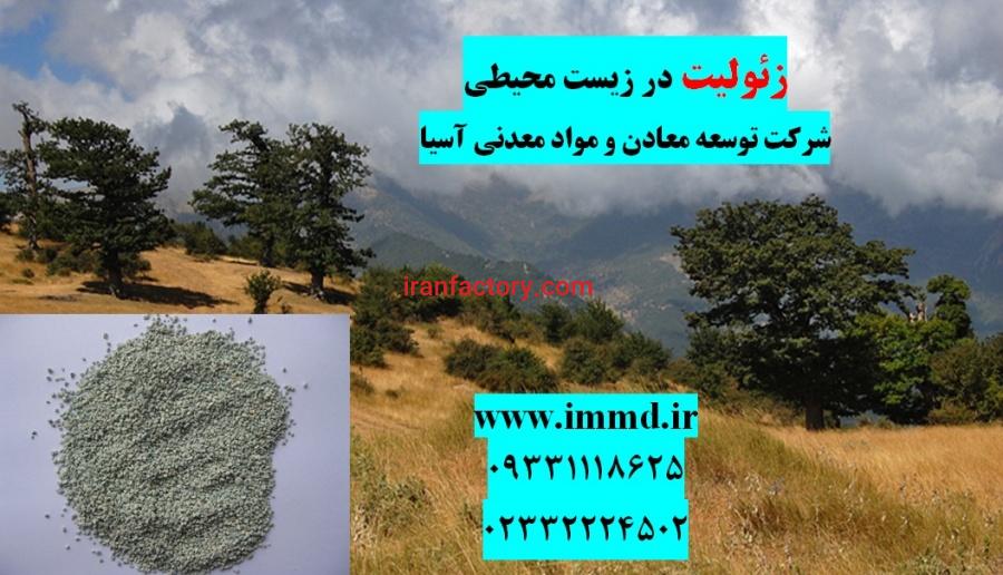 فروش زئولیت در حذف آلاینده های زیست محیطی0