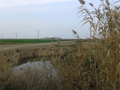 فروش و يا مشاركت ، يك واحد كشتارگاه صنعتي طيور در گلستان 4