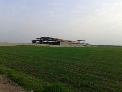 فروش و يا مشاركت ، يك واحد كشتارگاه صنعتي طيور در گلستان 3