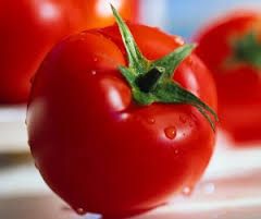 فروش کارخانه رب در استان هرمزگان_فروش کارخانه رب دربندر عباس0