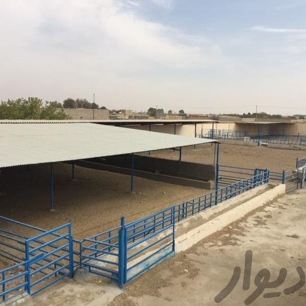 فروش گاوداری در اصفهان3