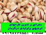 طرح توجیحی9