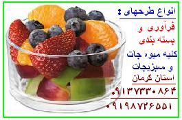 طرح توجیحی11