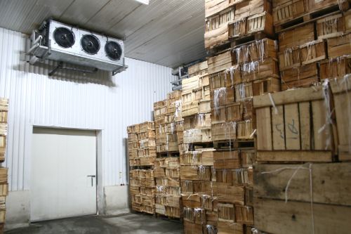 فروش کارخانه سورتینگ میوه و رب گوجه فرنگی و سردخانه در مراغه2